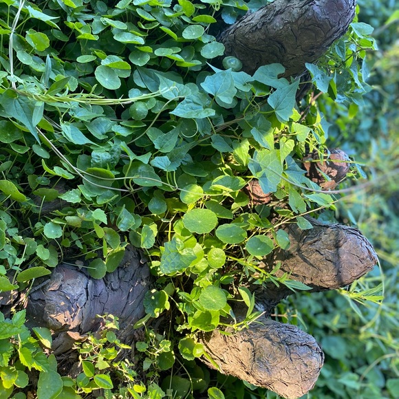 Sharing to support each other! 🌻🥰 - Picture 5 of 7